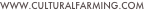 shapeimage_1_link_0