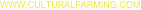 shapeimage_1_link_0