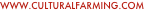 shapeimage_1_link_0